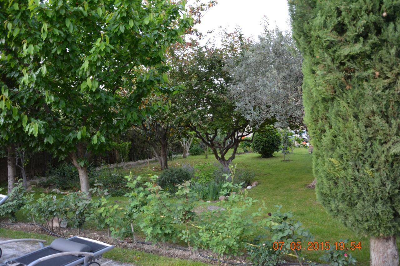 דירות Saint-Rémy-de-Provence Mas Alpilles Soleil מראה חיצוני תמונה